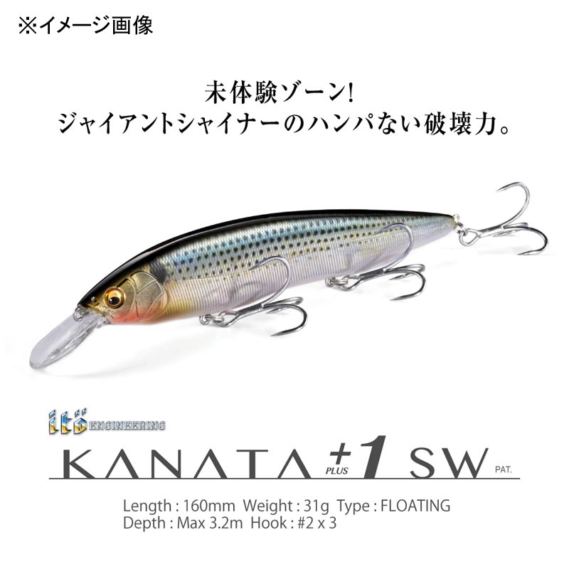 KANATA+1 SW — фото 2