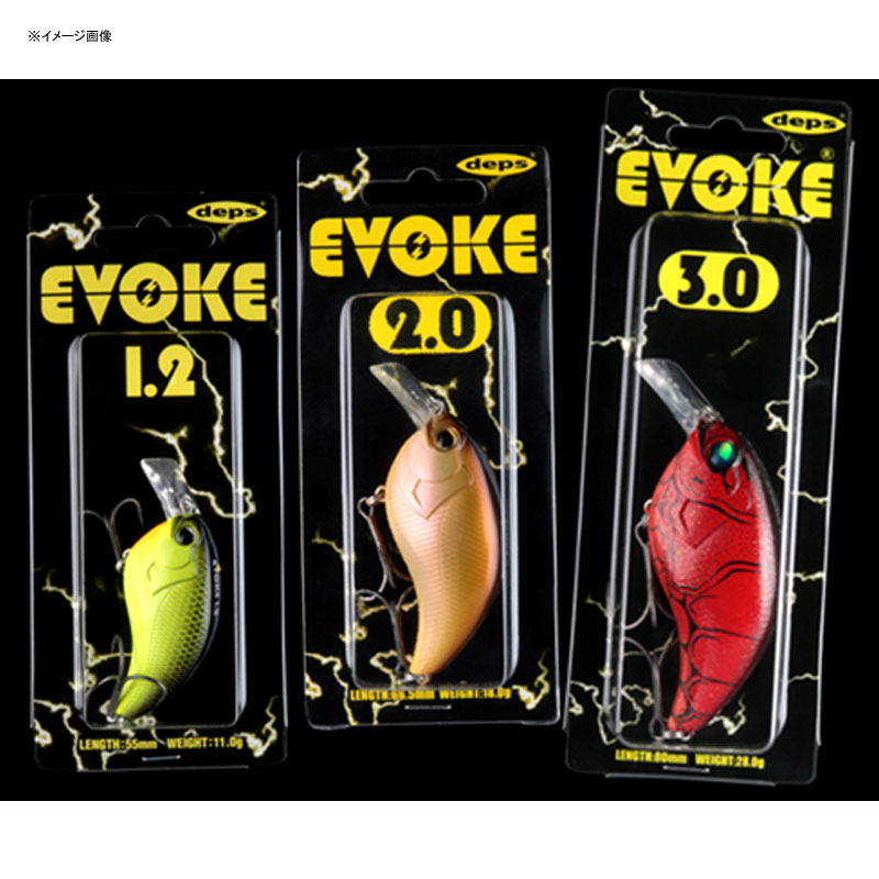 EVOKE 3.0 — фото 2