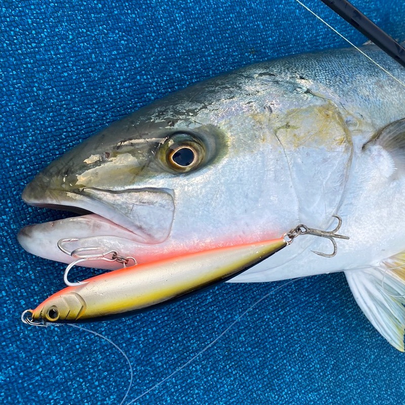 RAIZEN Lure Diving Pencil Bluefish 190F — фото 5