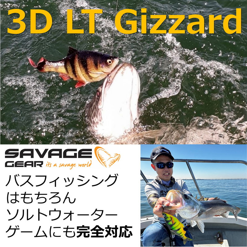 3D Line-Through Gizzard SS — фото 2