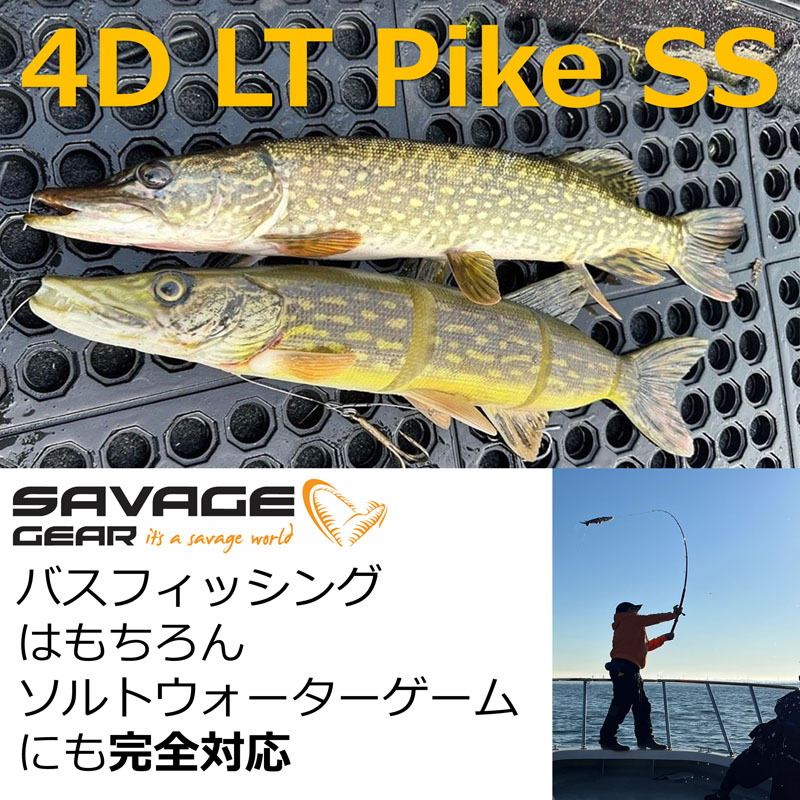 4D Line-Through Pike SS — фото 2