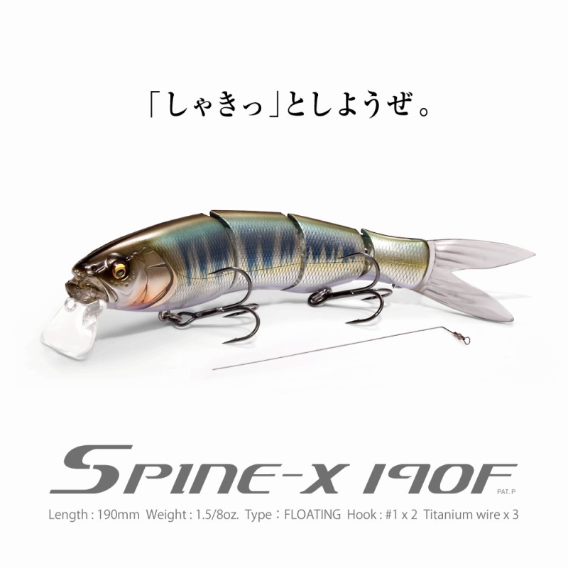 (2024 Osaka Order Meeting Limited) SPINE-X 190F — фото 2