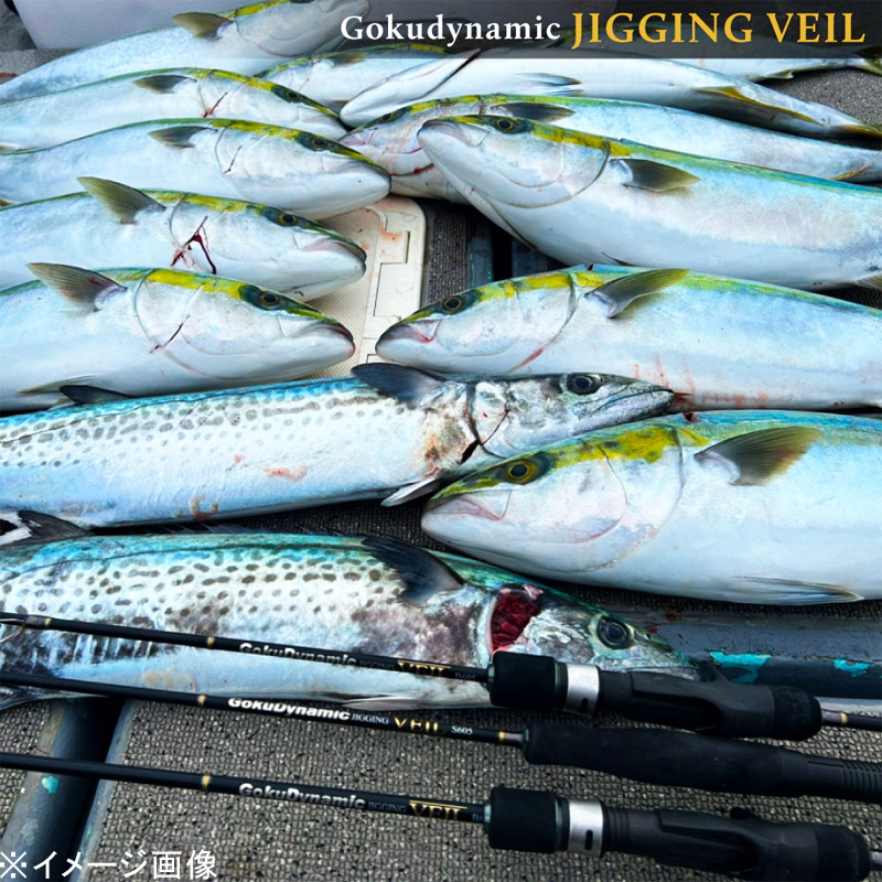 Gokudynamic Jigging Vale S622 (Spinning・One-piece) — фото 8
