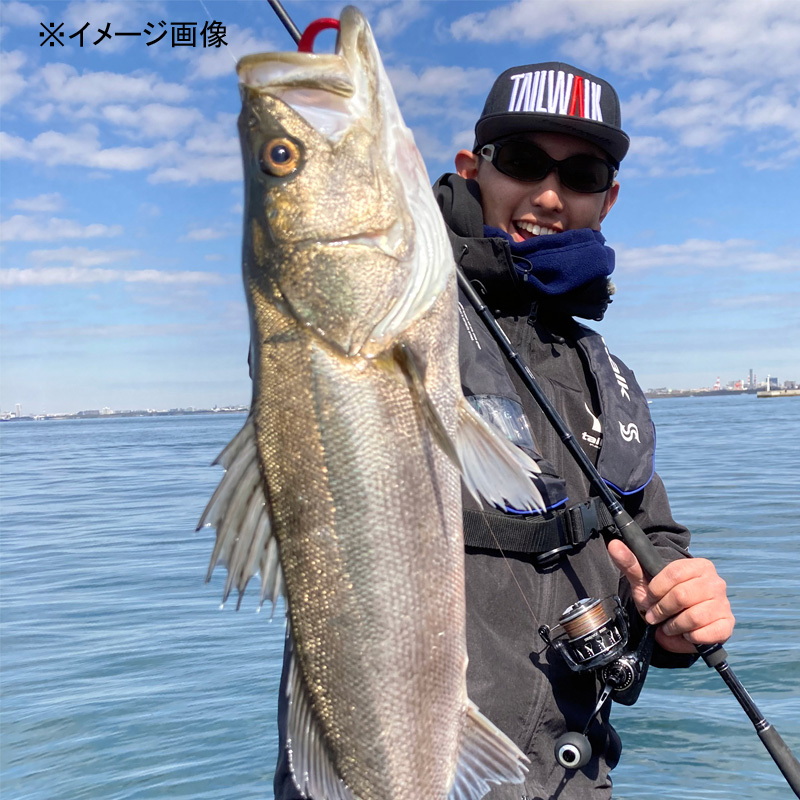 HI-TIDE SSD Seabass Rod 110H HIRA — фото 5