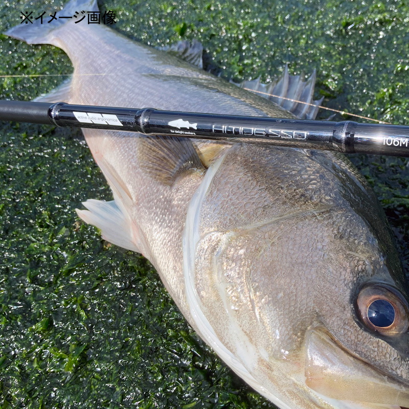 HI-TIDE SSD Seabass Rod 110H HIRA — фото 6