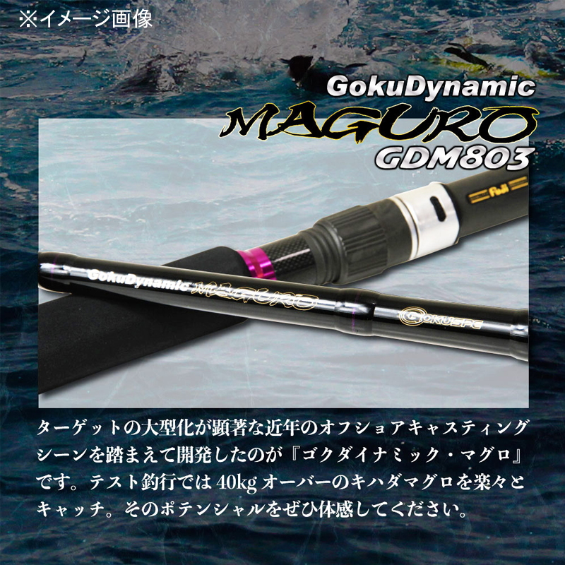 Goku Dynamic Maguro GDM803 (Spinning, 2-piece) — фото 10