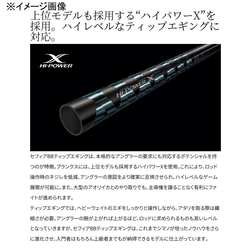 (Reservation December arrival) 23 Sephia BB Tip Eging R-S66M-S — фото 3