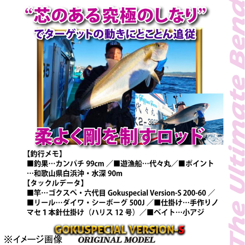 Sixth Generation Gokuspecial Version-S 200-100 (2-Piece) — фото 4
