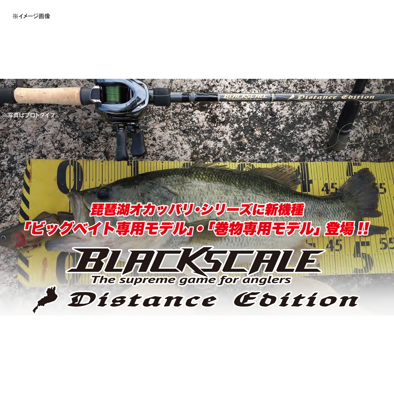 Black Scale Distance Edition BSDC-84M (Bait・2-Piece) — фото 2