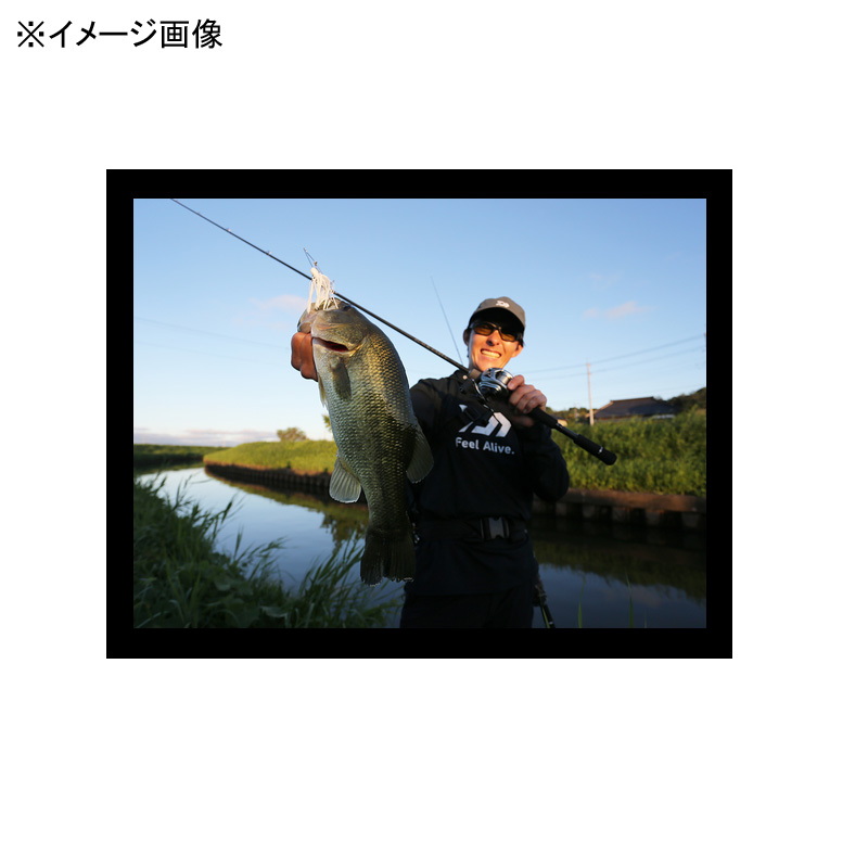 Black Label C66ML-LM (Bait・Grip Joint One-Piece) — фото 5