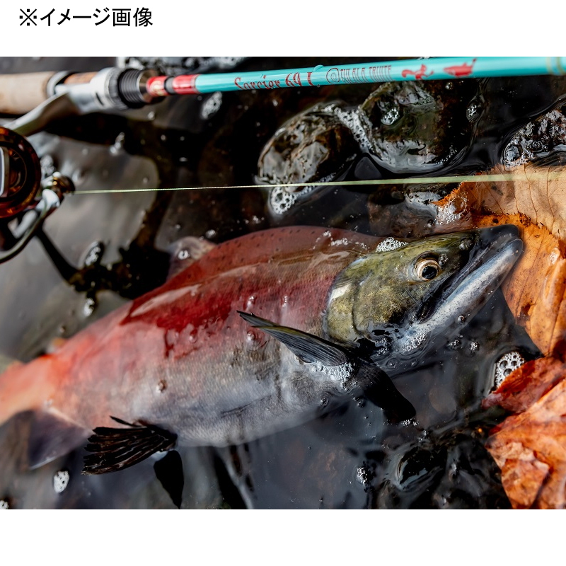 TRUITE Solcier 69L (Spinning・2-piece) — фото 11