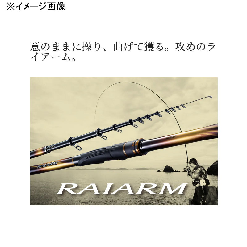20 Lie Arm 1-500 (5-piece) (TC-IM Guide Spec) — фото 3