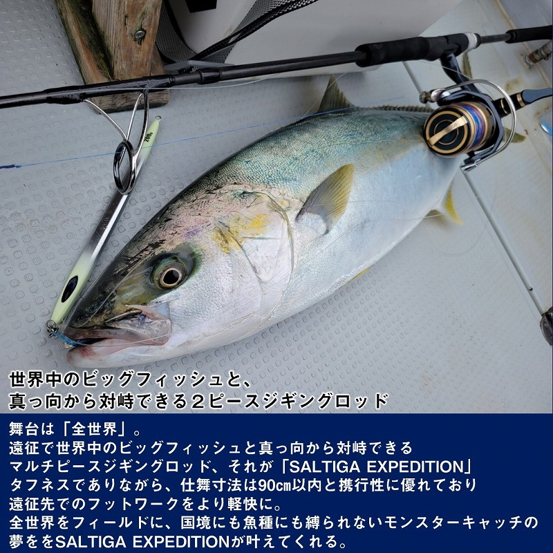 Saltiga J EXP 56S-4 (spinning, 2 pieces) — фото 3