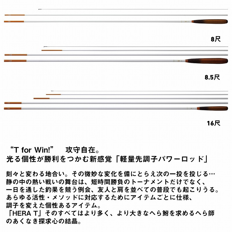 HERA T 8 (3-piece) — фото 3