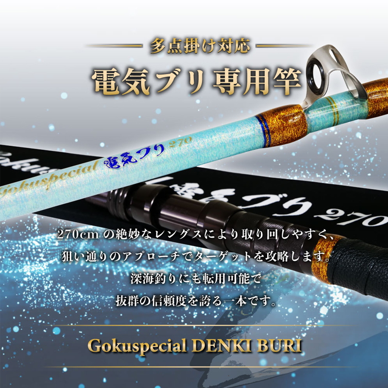 Goku Special Electric Buri 270 (2-Piece) — фото 3