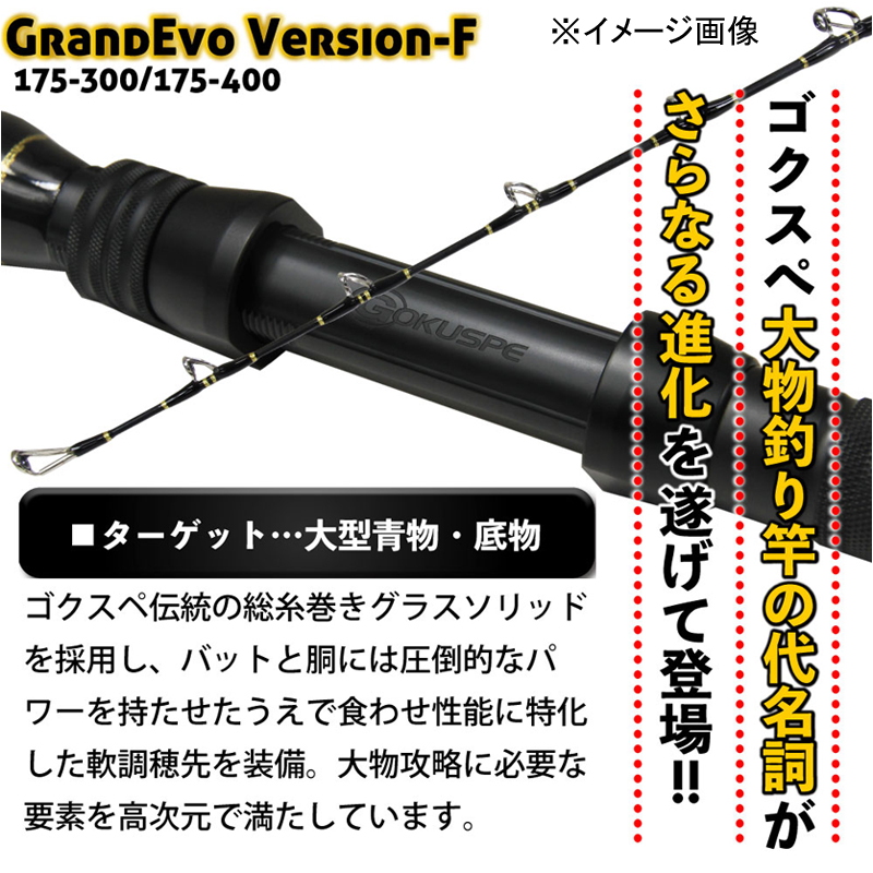 GRANDEVO version-F 175-300 (One-Piece) — фото 3