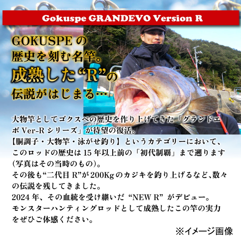 GRANDEVO Version R 185-400 (One-piece) — фото 3