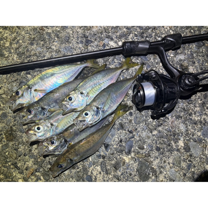 (Reservation October release) Real Finesse PRM RFSS-562ULS (Spinning・2-piece) — фото 7