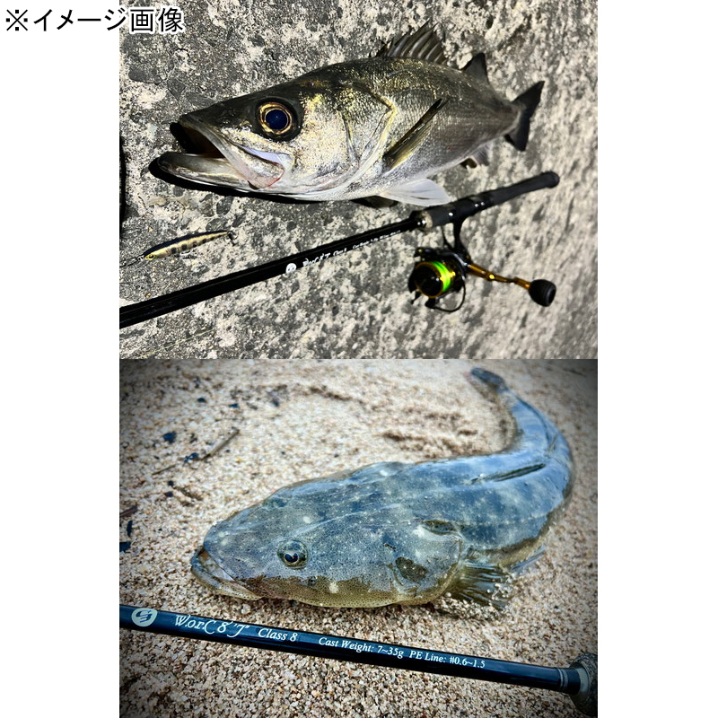 C3+ W.o.r.C 8 Feet 7 Inch Class8 Bait Model (2 Pieces) — фото 3