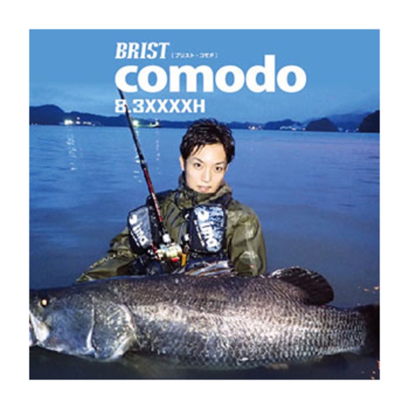 BRIST comodo 8.3XXXXH — фото 2
