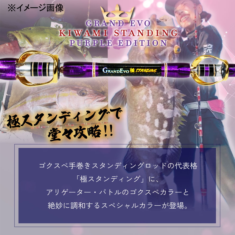 GrandEvo Kiwami STANDING 170 PurpleEdition (One-piece) — фото 3