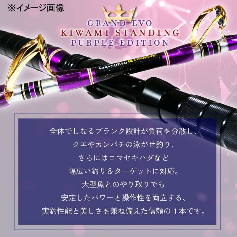 GrandEvo Kiwami STANDING 170 PurpleEdition (One-piece) — фото 4