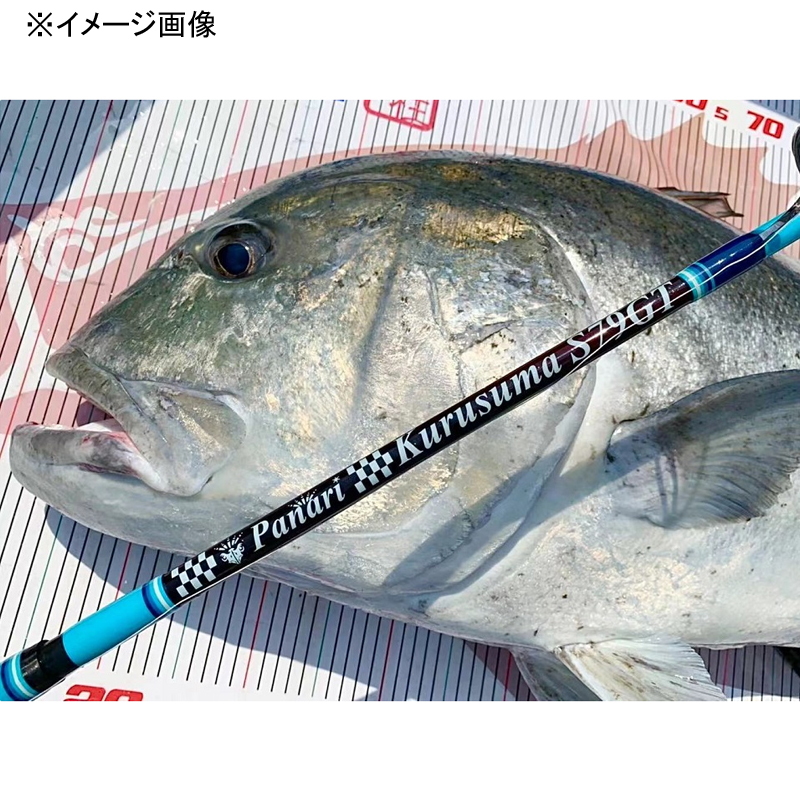Panari Kurusuma S79GT (Spinning・2-piece) — фото 11