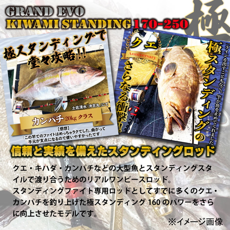 GRANDEVO Kiwami Standing 170 (One-piece) — фото 3