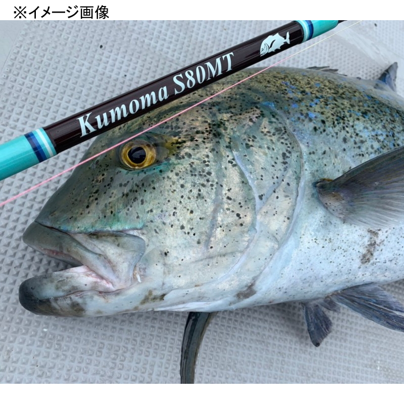 Panari Kumoma S80MT (Spinning・2 pieces) — фото 12