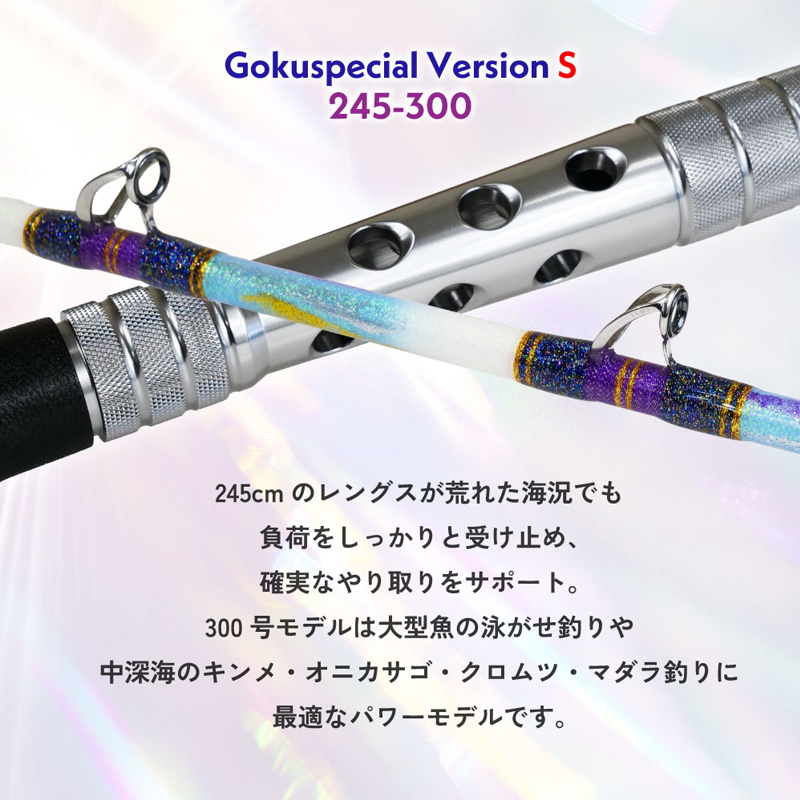 Sixth Generation Gokuspecial Version-S 245-300 (2-piece) — фото 5