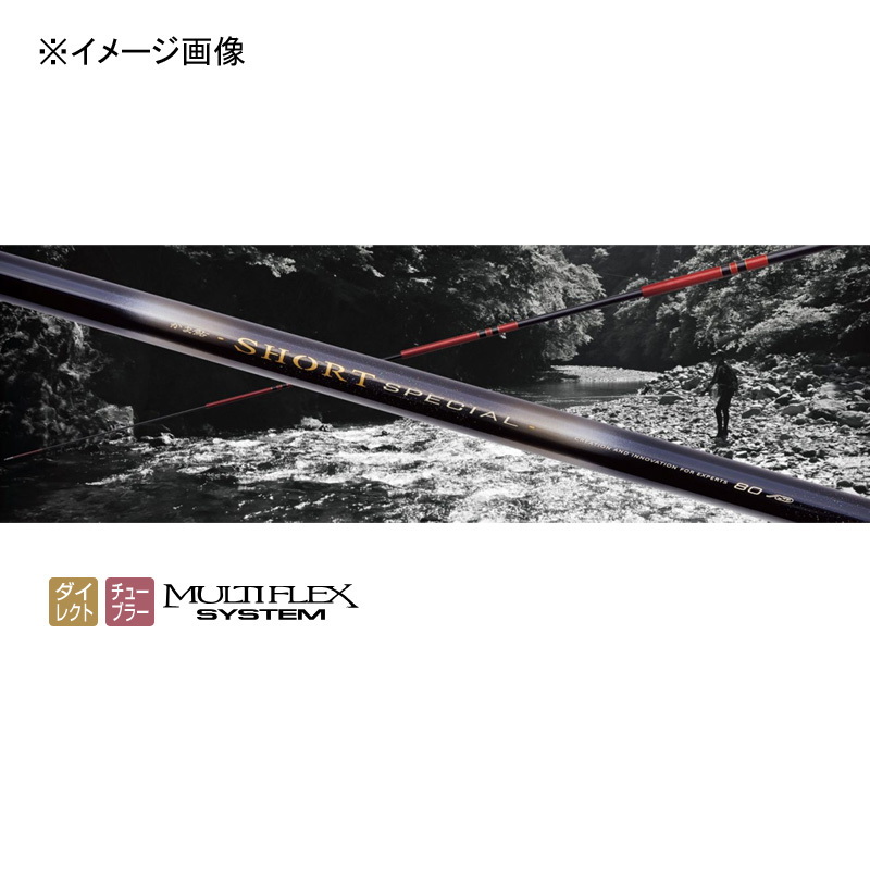 Gama Ayu Short SP Multiflex MULTIFLEX 70-65 (telescopic) — фото 2