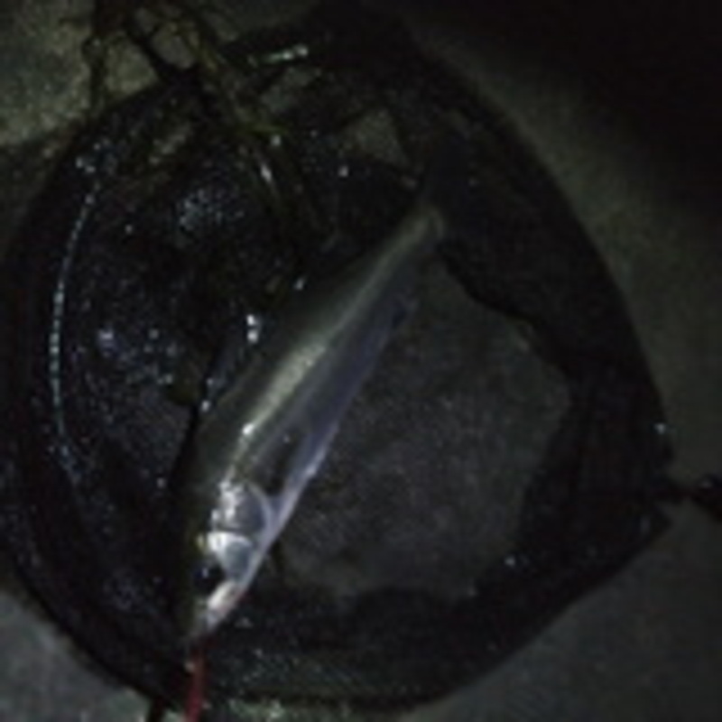 Landing Net Javelin III 500 — фото 18