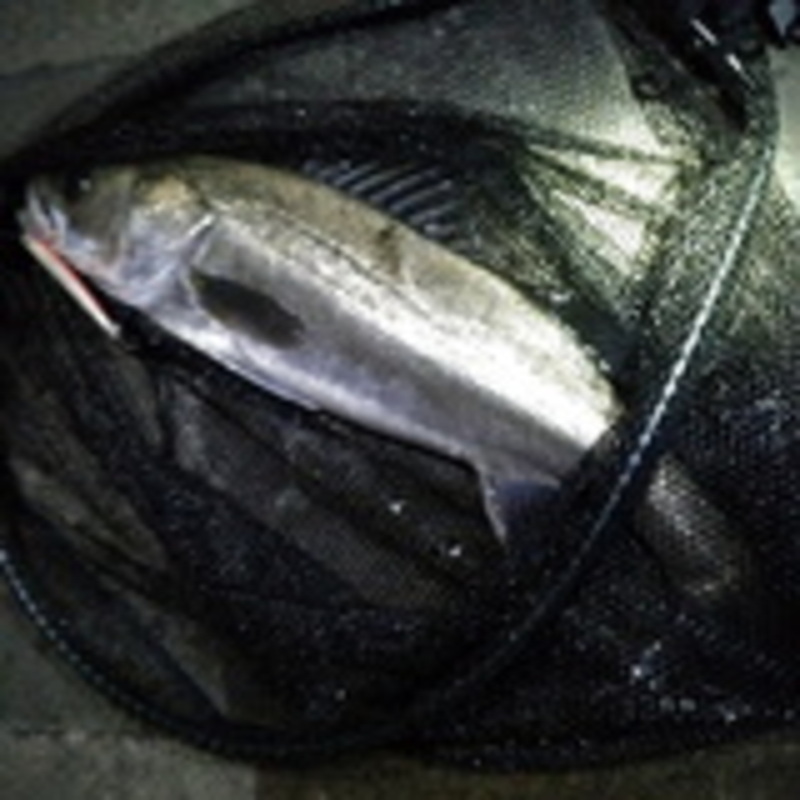 Landing Net Javelin III 500 — фото 16