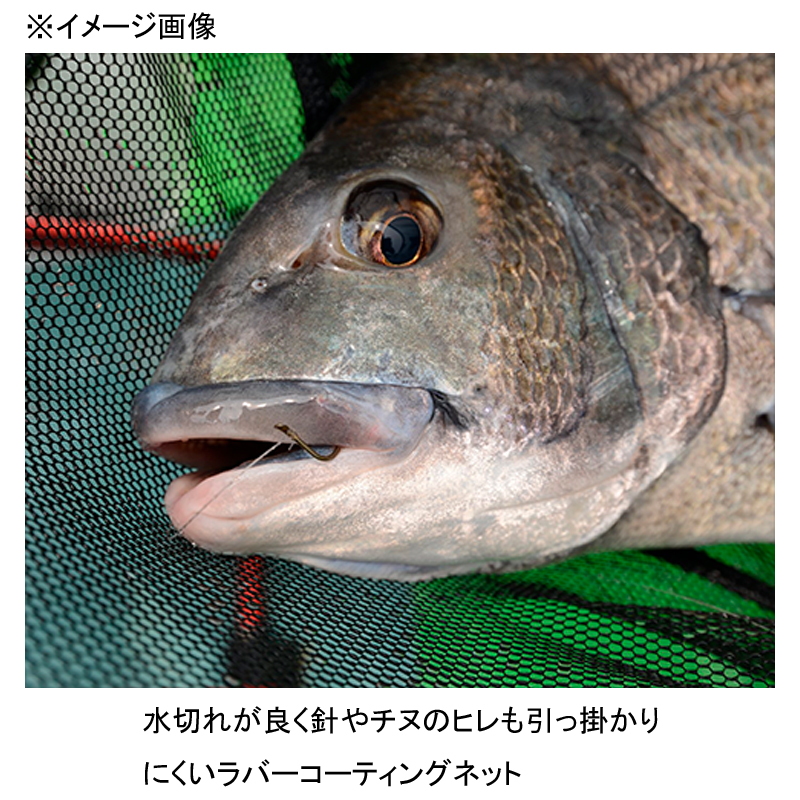 Kase Ikadashi Chinu Limited Ikada Tamo Net — фото 2