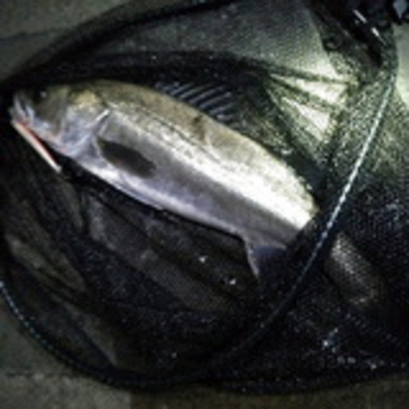 ★Landing Net Javelin III 600 + Net Joint (Great Value 2-Piece Set)★ — фото 15