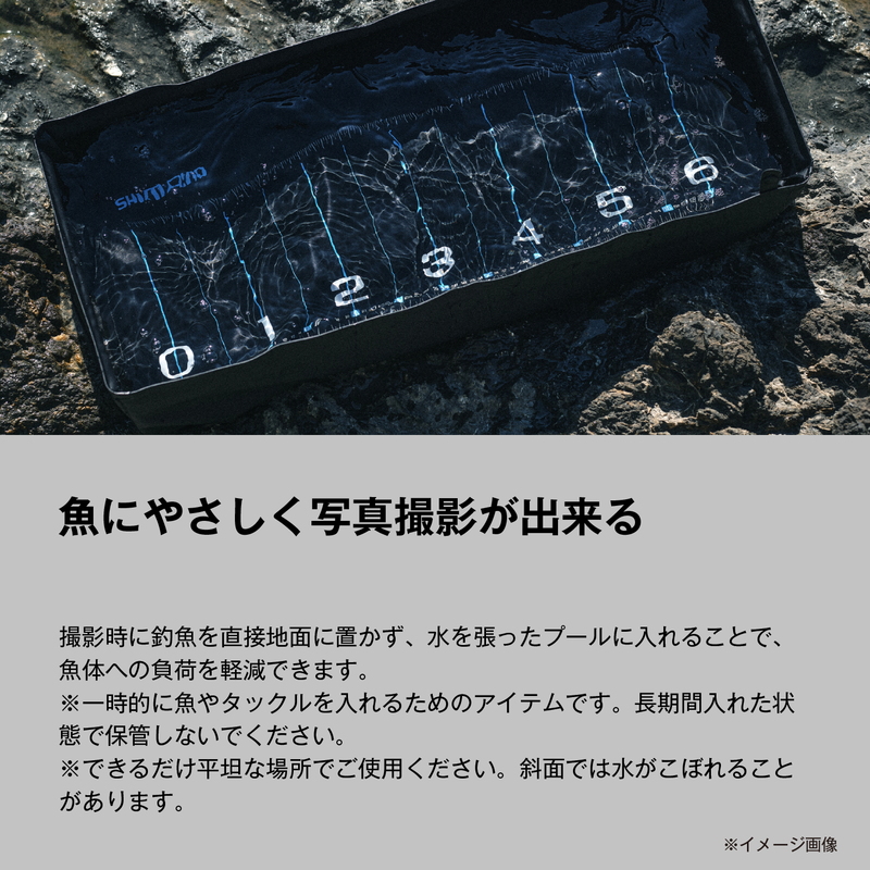 BA-028Z Compact Fish Pool Measure Print — фото 4