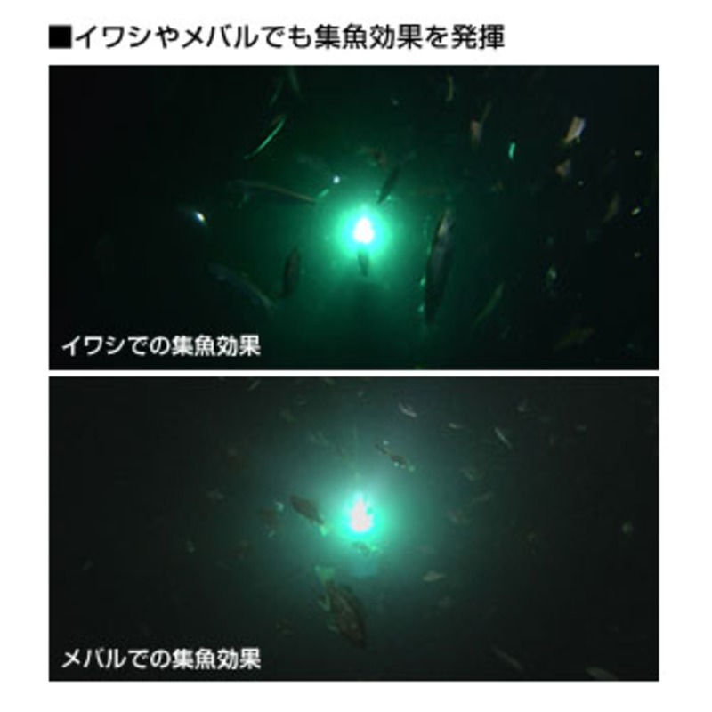 Battery-Powered LED Underwater Fish Attracting Light — фото 3