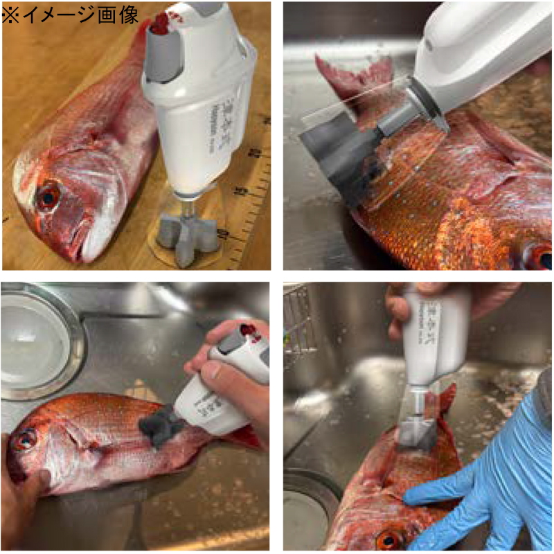 (Hapyson x Tsumoto-style) Rechargeable Scale Remover — фото 3