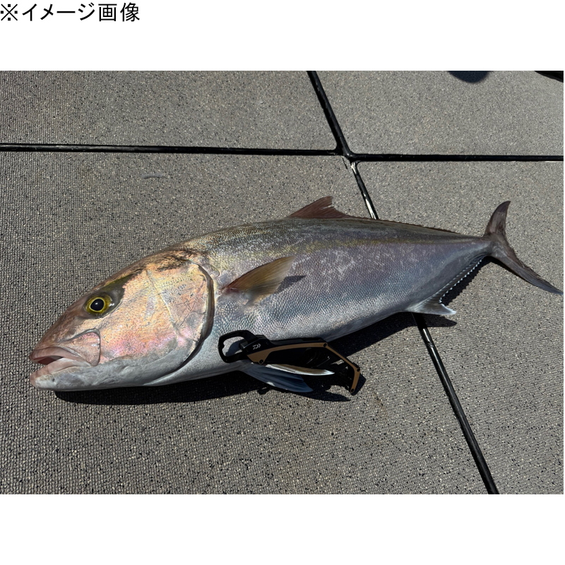 Fish Grip ST HD250 — фото 3